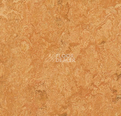 Линолеум Forbo Marmoleum Marbled Real 3174 Sahara фото 1 | FLOORDEALER